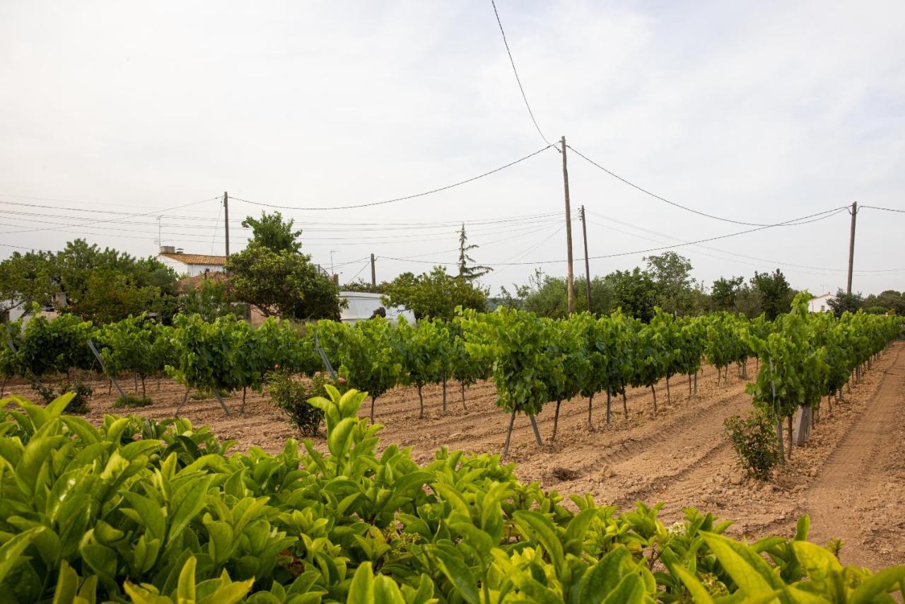 Masia Cal Sisplau, Con Piscina Y Rodeada De Vinedos A 10 Minutos De Vilafranca Del Penedes, Barcelona ,Cataluna San Martín Sarroca Екстериор снимка